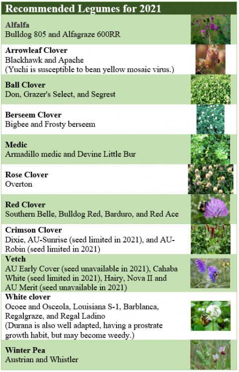 2021 Cool-Season Forage Recommendations for Livestock and Wildlife ...