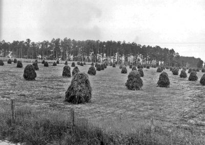 1935 soybean hay