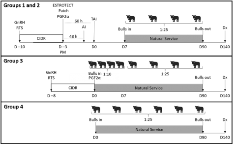 Reproductive Programs for Heifers Could Help You Tighten Up Your ...