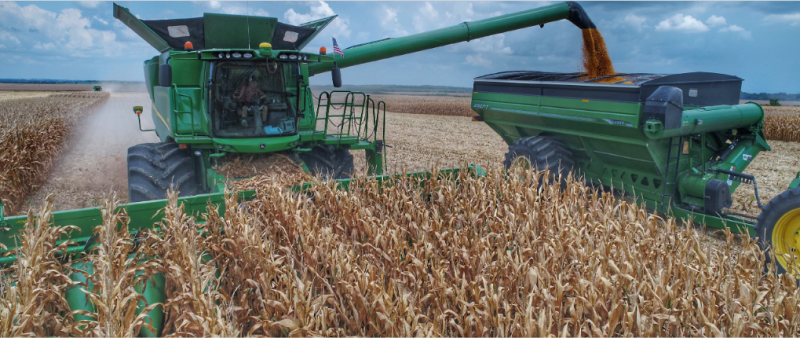 Corn Yield Contest Reflects Resilience of Corn and the Farmers Who Grow It