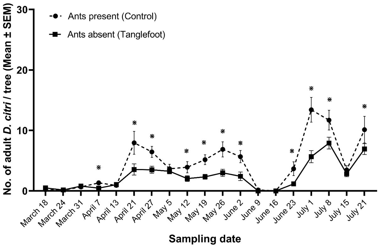 Asian citrus psyllid adults counted per tap sample from control