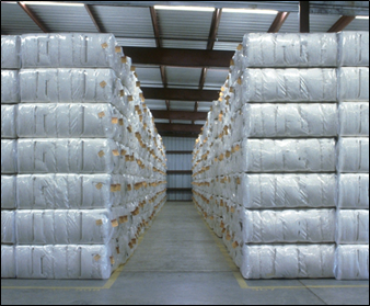 Cotton Marketing News:  Cotton Fundamentals Provide Reason for New Hope