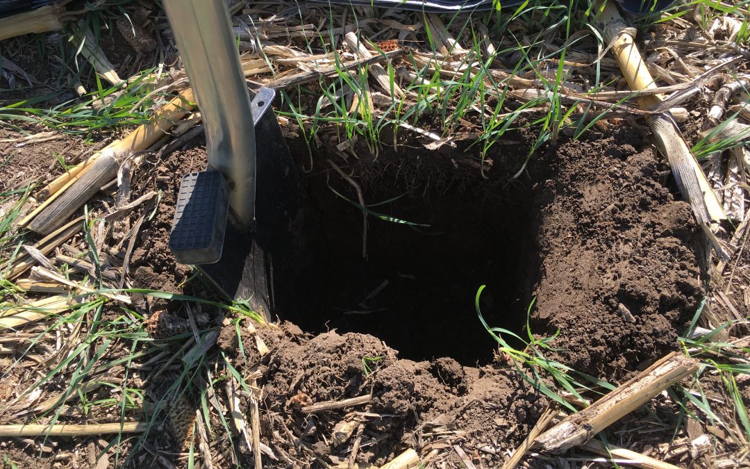 What is Soil Health and How is it Measured?