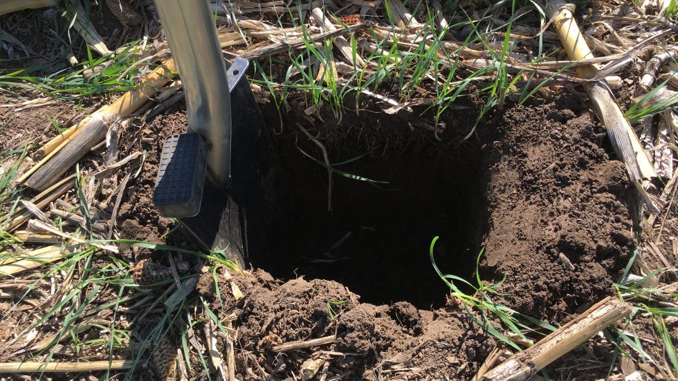 What is Soil Health and How is it Measured? | Panhandle Agriculture