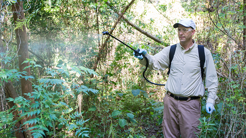 Florida Pesticide Applicators Can Now Take Licensing Exams Online