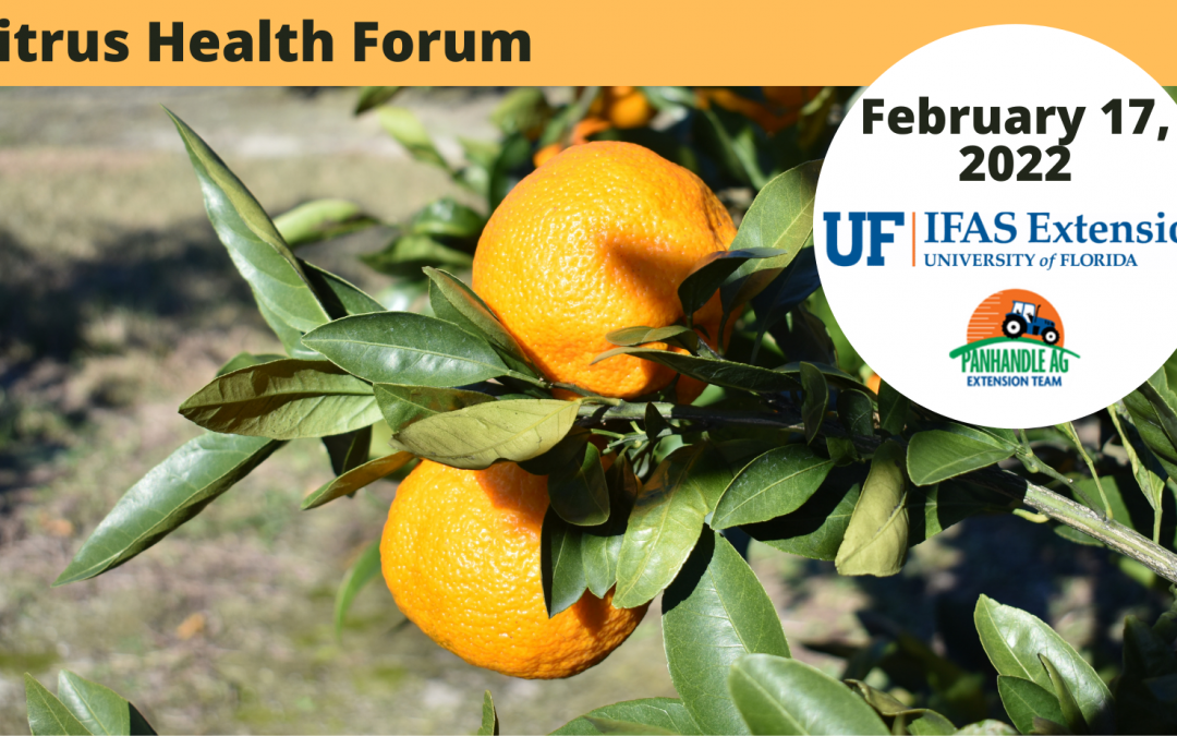 Citrus Health Forum – February 17