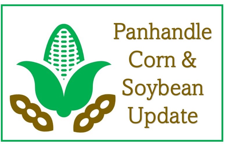 Panhandle Corn & Soybean Update – February 2
