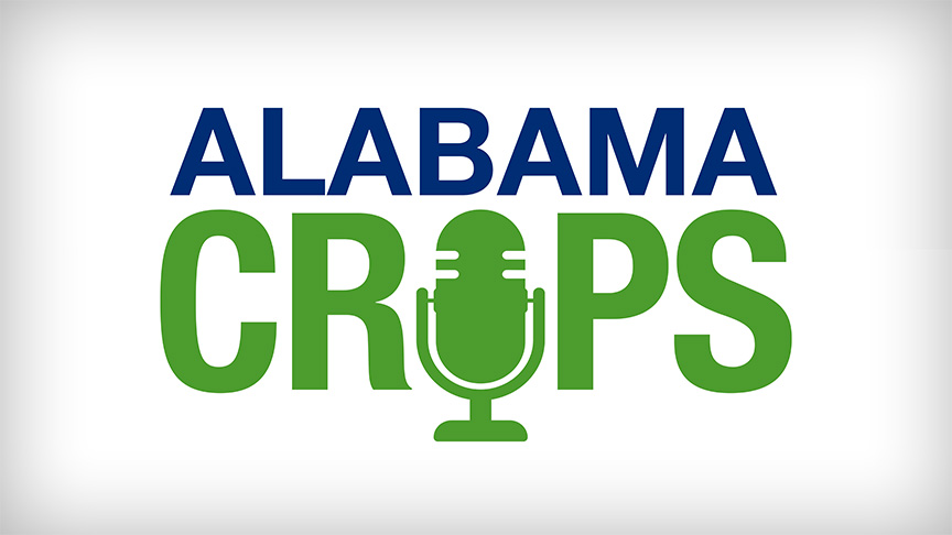 Alabama Extension Offers Blogs and Podcast for Crop Farmers