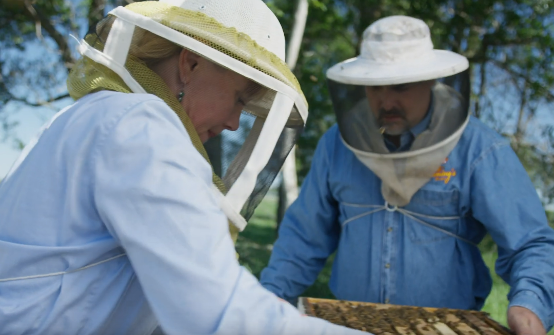 Friday Feature:  Celebrating Beekeeping – A Labor of Love