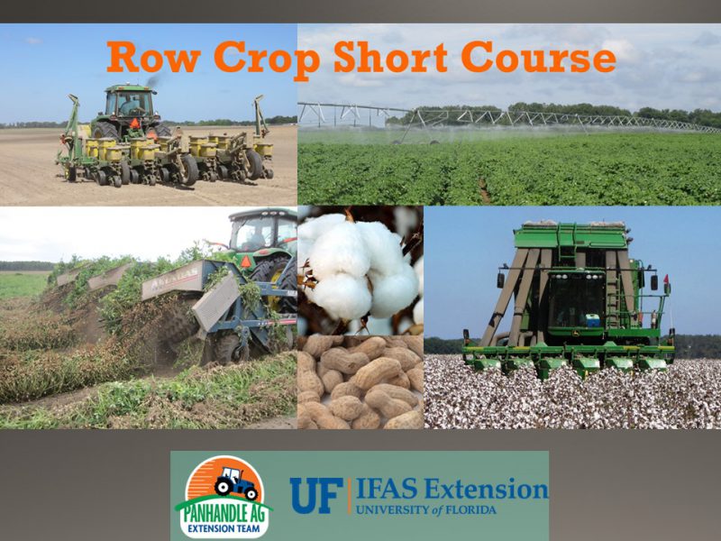 Panhandle Row Crop Short Course Event Image