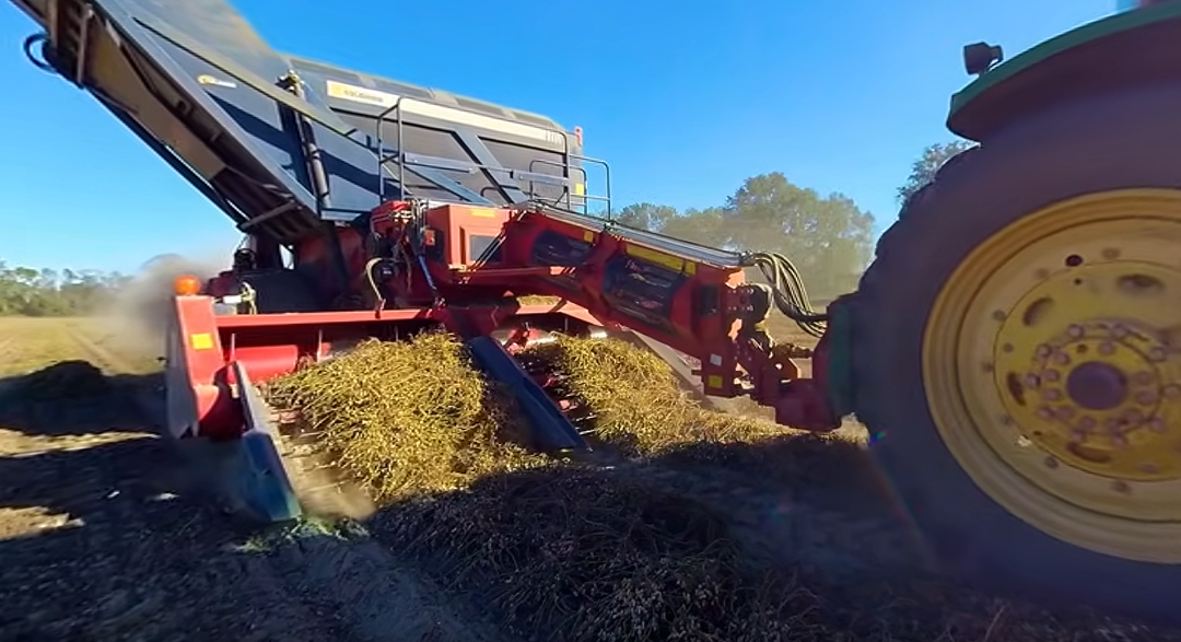 Friday Feature:  Peanut Harvest with a 360° Camera