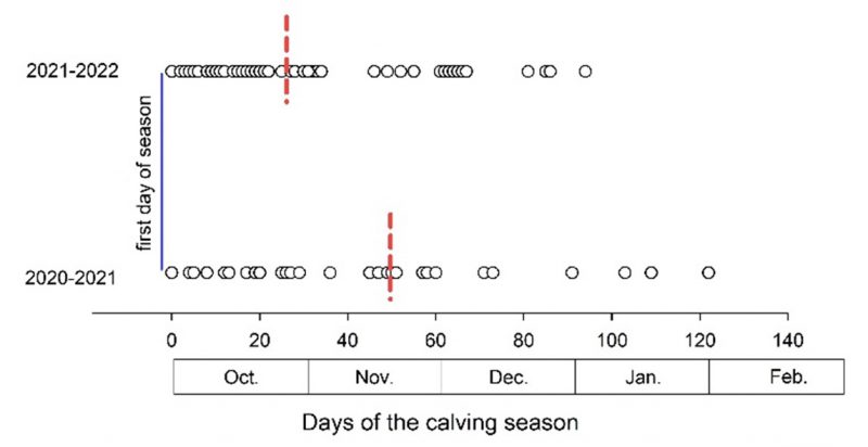 Figure 2 Calving distribuition chart