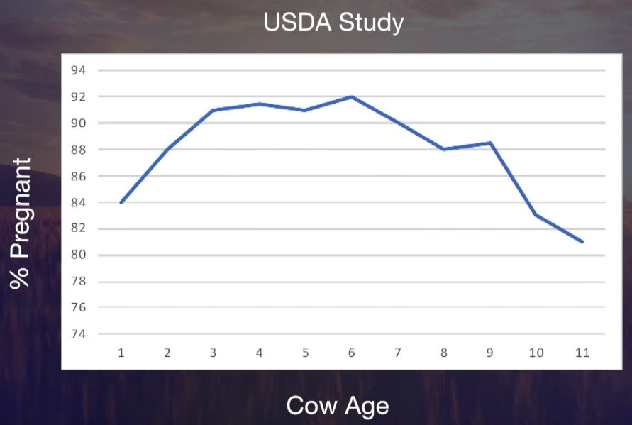 Friday Feature:  How Old is Too Old to Keep Cows in the Herd?