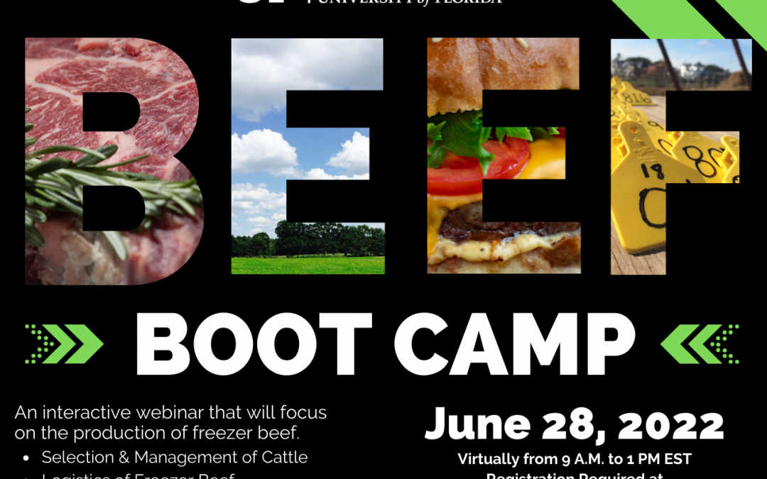 Freezer Beef Boot Camp 2022 – June 28