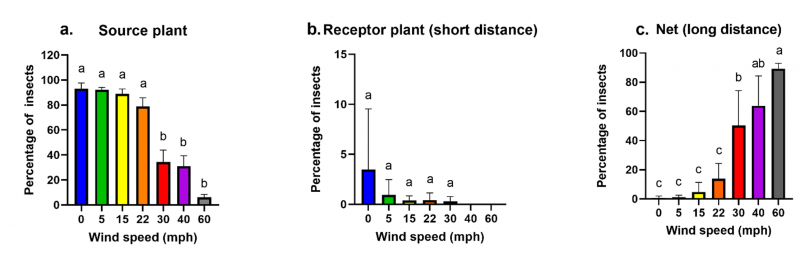 Figure 3 Wind Speed Effect on Insects Chart