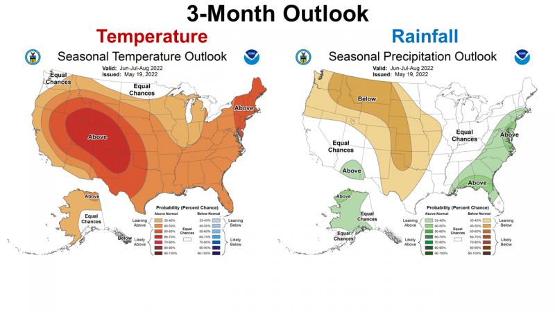 CPC Summer 2022 Outlook