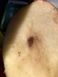 Brown Center condition, Red Lasoda potato.