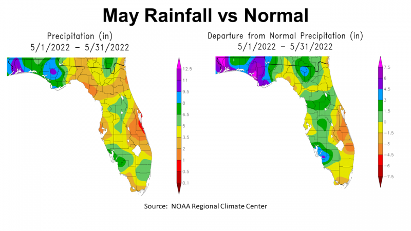 May 2022 FL Rainfall vs Normal