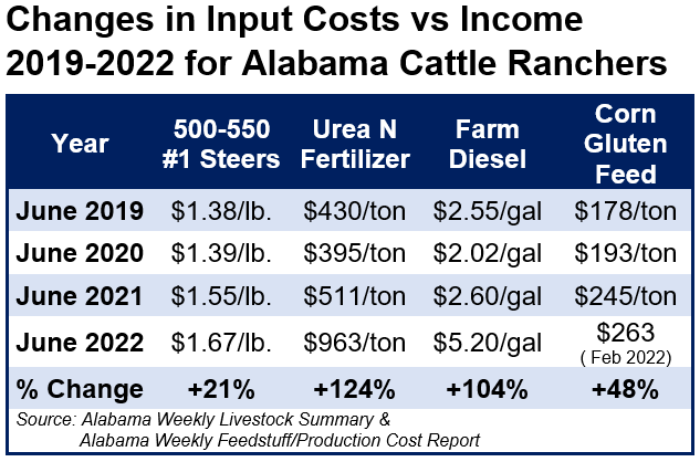Rancher Costs vs Income 2019-2022