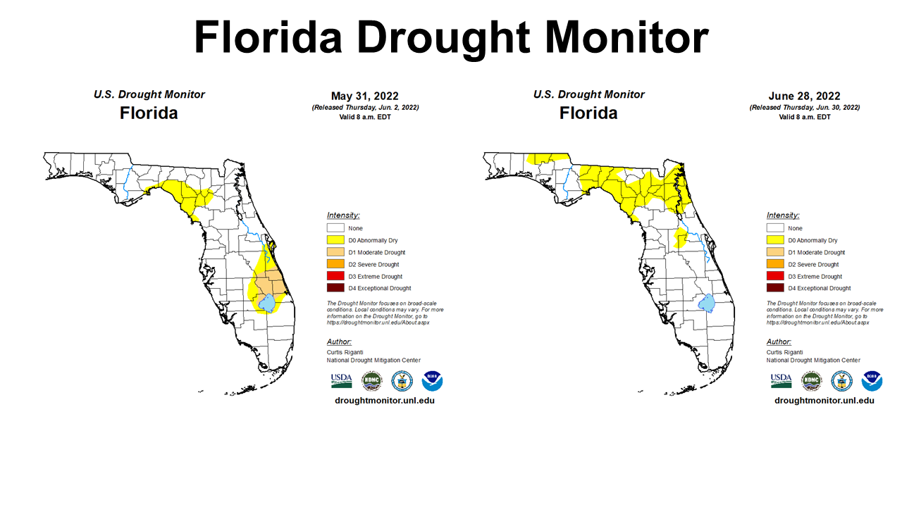 June 22 FL Drought Montor Comparison