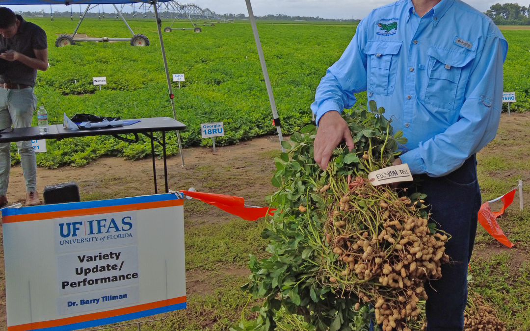 Friday Triple Feature:  Highlights from the 2022 UF/IFAS Peanut Field Day