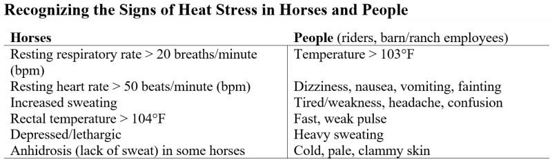 Signs of Heat Stress in horses and people