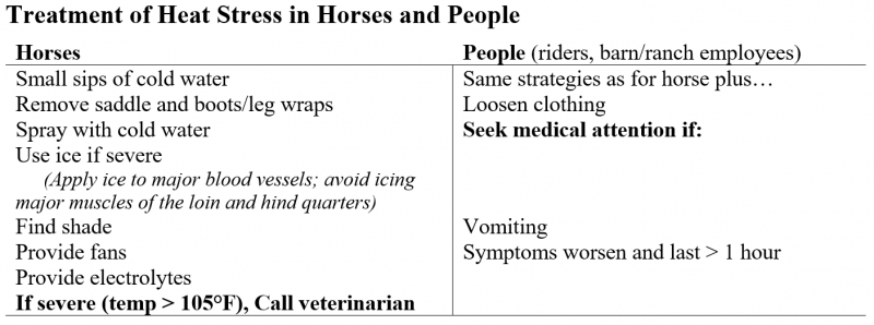 treatment of heat stress in horses