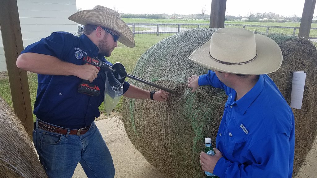 UF/IFAS Extension Agent NIck Simmons conducting a hay test. 