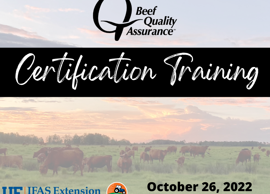 BQA Certification Training October 26