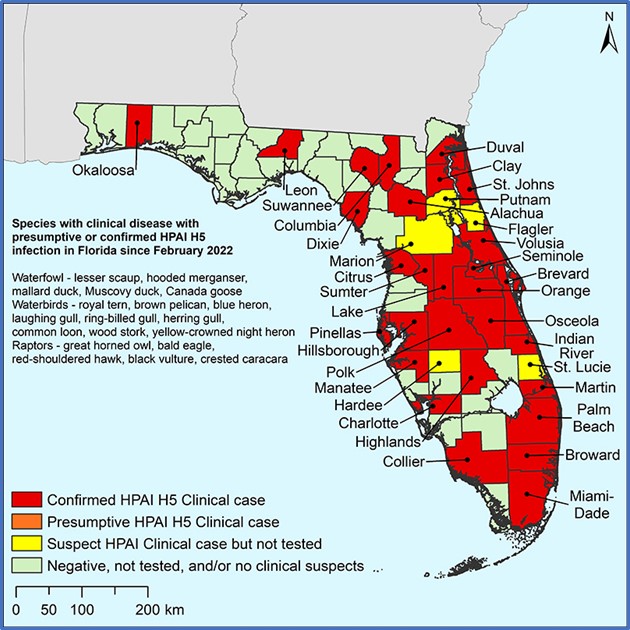 Number of wild birds that have tested positive for highly pathogenic avian influenza in Florida