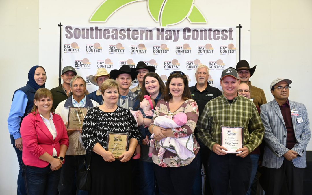 Four Florida Farms Recognized for Hay Quality in the Southeastern Hay Contest
