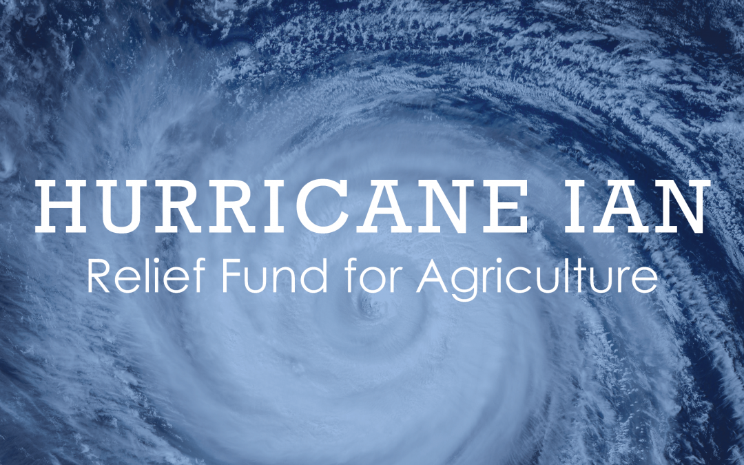 Florida Farm Bureau Establishes Hurricane Ian Relief Fund