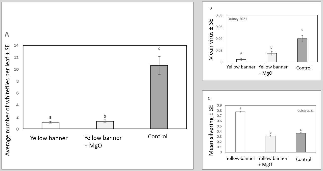 Effect of the yellow sticky banners chart