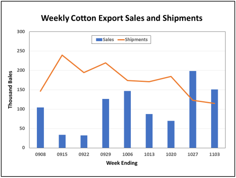 Weekly Cotton Export Chart 11-11-22