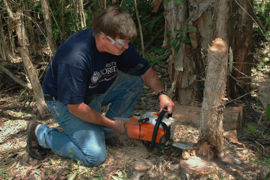 Chainsaw Operator Panhandle Agriculture