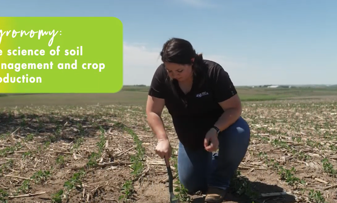 Friday Feature:  What is Agronomy?