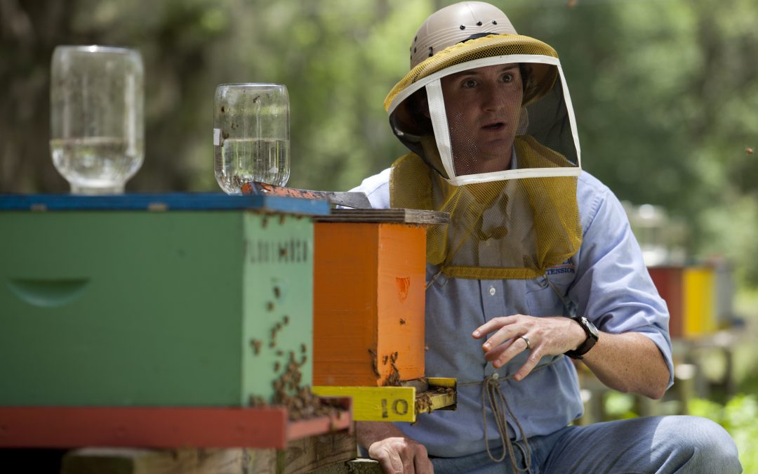 Winter Beekeeping Tips to Keep Your Colonies Primed