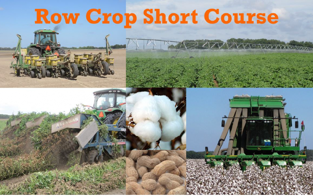 Panhandle Row Crop Short Course – March 2