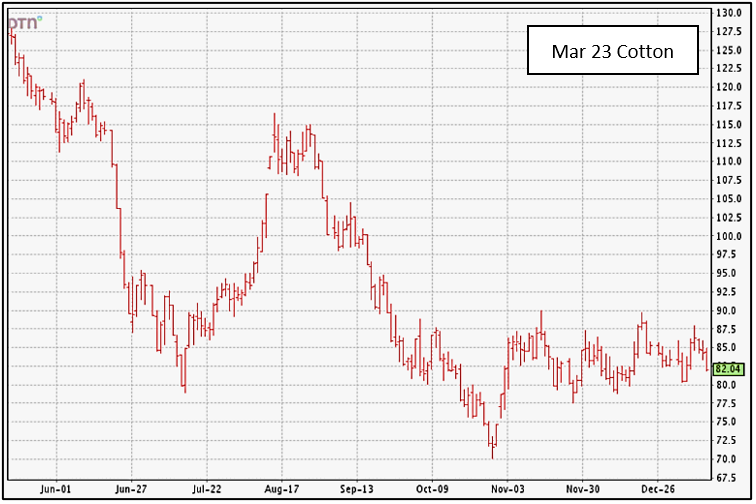 1-13-23 March Cotton Futures Chart