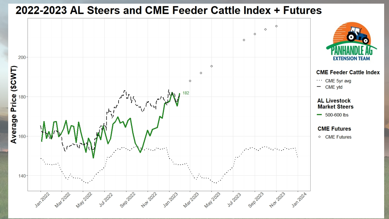 2023 Cattle market Outlook