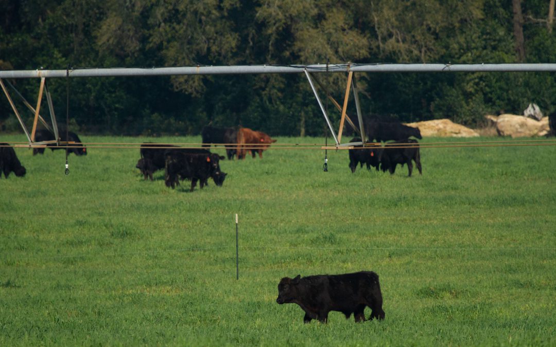 2023 Cattle and Crop BMP Farm Tour – March 9