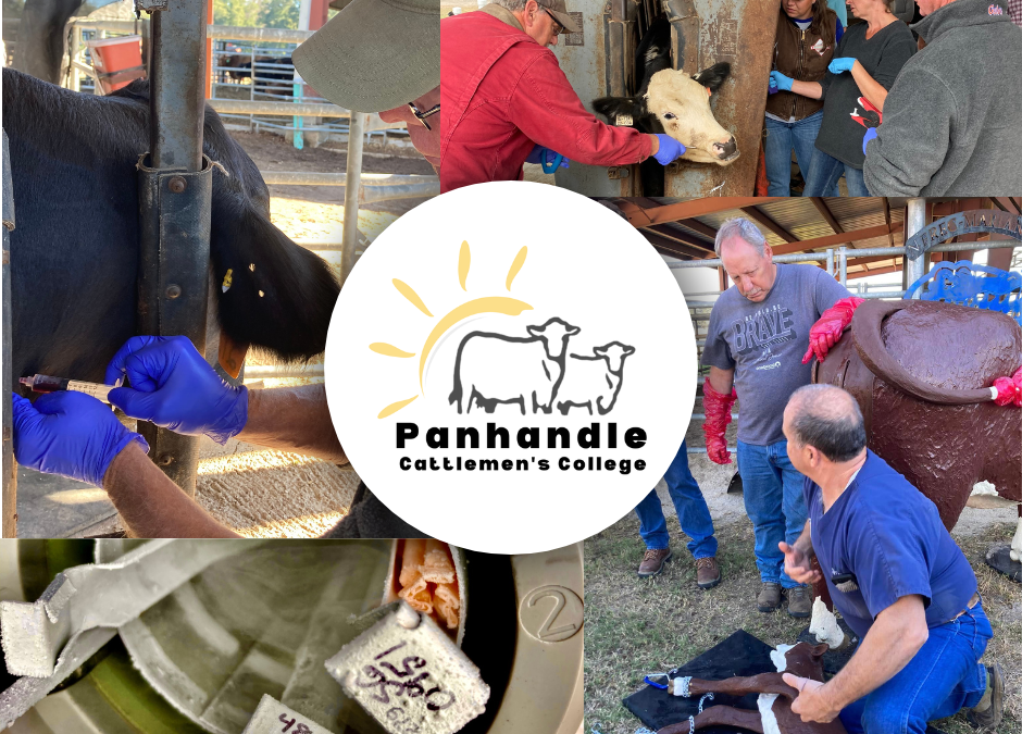 Panhandle Cattlemen’s College 2023 – October 25-27