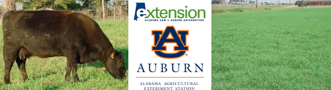 Alabama Beef & Forage Field Day – March 16