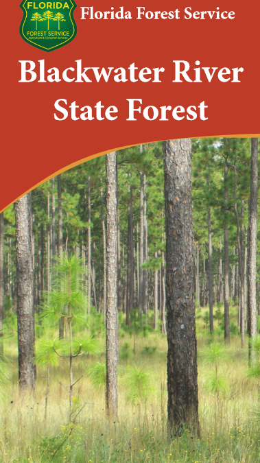 Forest Resiliency Field Day at Blackwater River State Forest – March 9