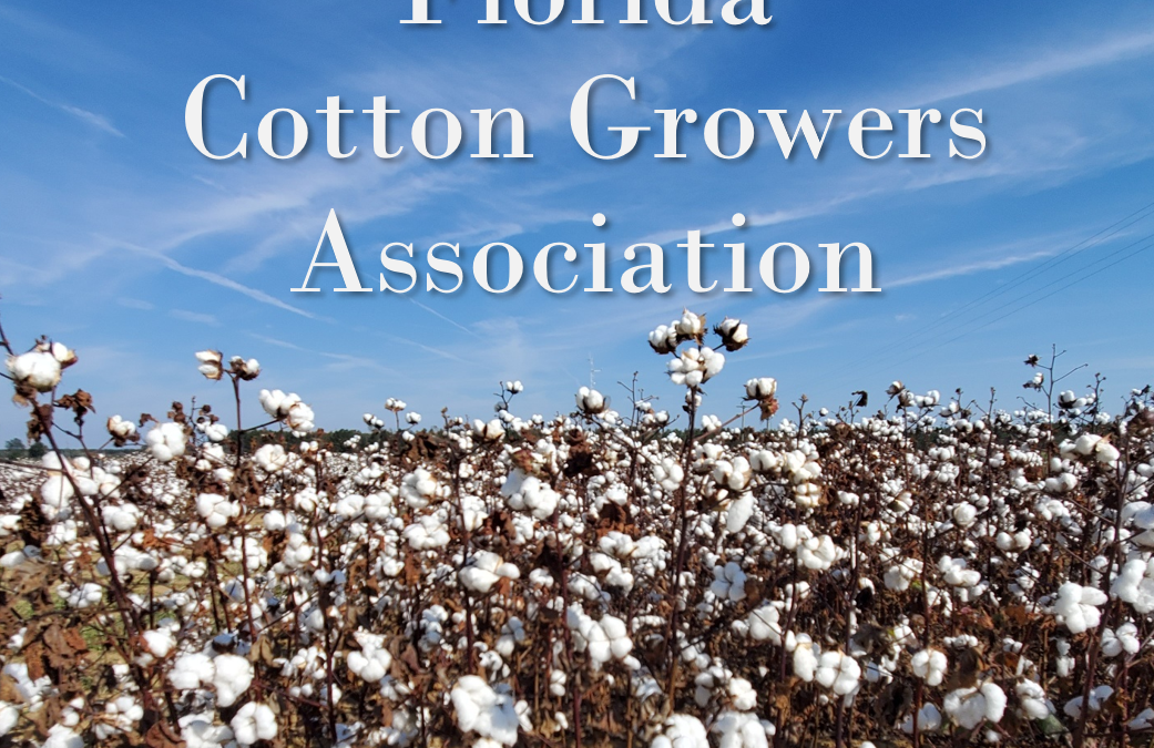 Florida Cotton Producers Association Listening Session – March 29 or 30