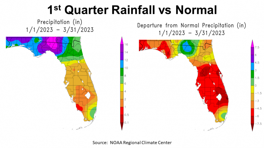 1st Quarter 2023 FL Rainfall vs Normal