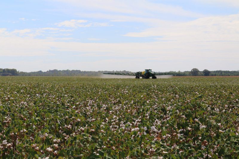 self-propelled sprayer in cotton field