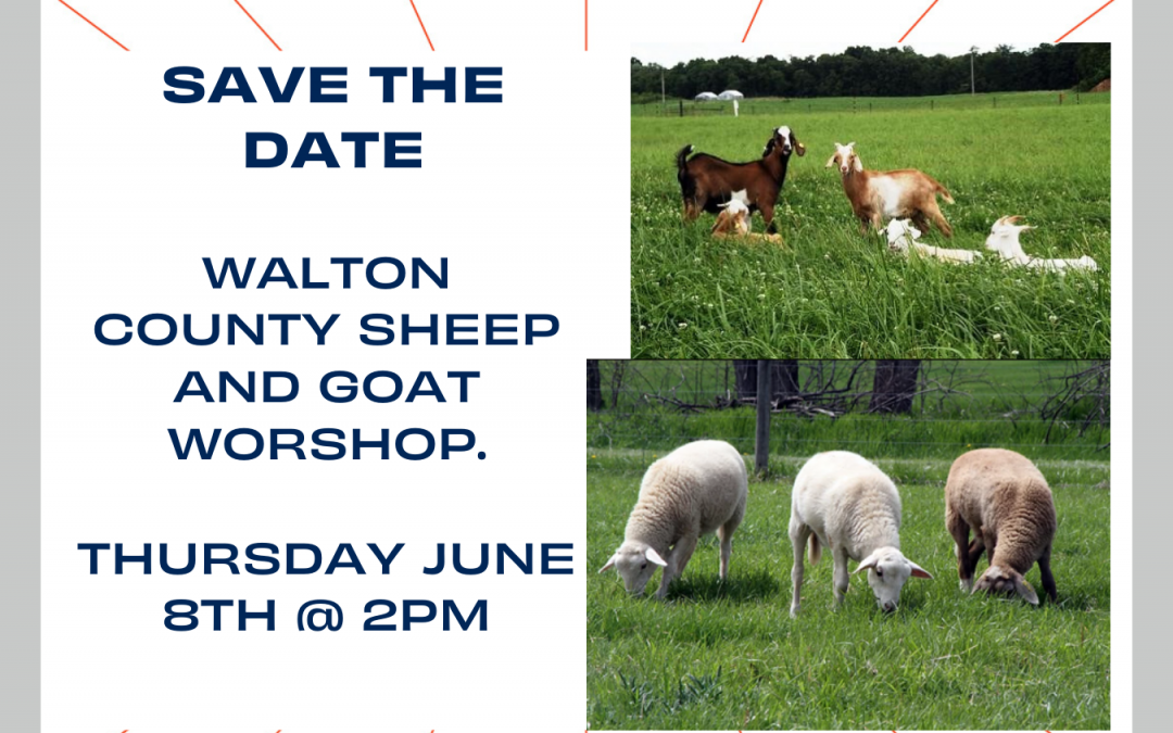 Walton County Sheep and Goat Workshop – June 8