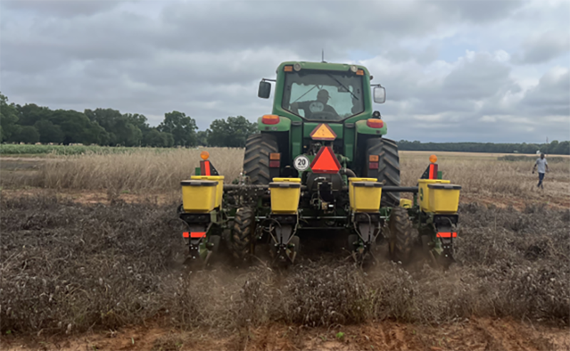Utilizing Cover Crops and No-Till Planting in Row Crop Production Systems