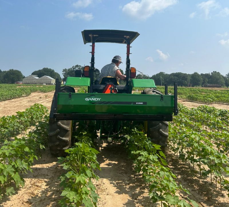 Gandy fertilizer spreader in Cotton field
